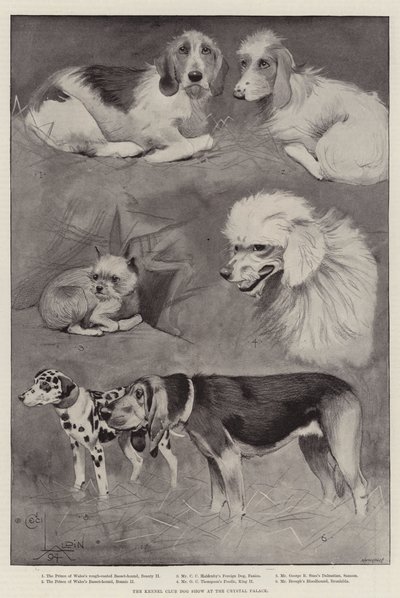 Le Concours Canin du Kennel Club au Crystal Palace - Cecil Charles Windsor Aldin